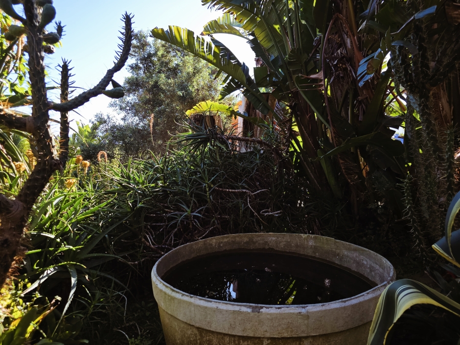 18 Bedroom Property for Sale in Geelhoutboom AH Western Cape